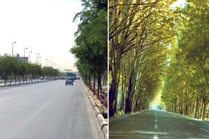 خاطره ؛ تونل سبز ملک آباد مشهد! که فدای مدرنیته شد