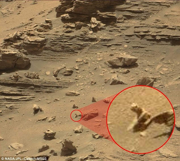مارمولکی روی سیاره مریخ! +تصویر