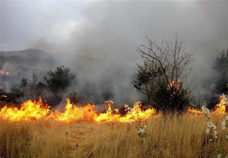 ۵ هکتار از اراضی ملی شهرستان آبیک در آتش سوخت