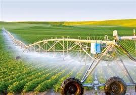 بخش کشاورزی استان سالانه بیش از ۵/۴ میلیون تن محصول می‌کند/ روش‌های حمایتی جهاد کشاورزی استان