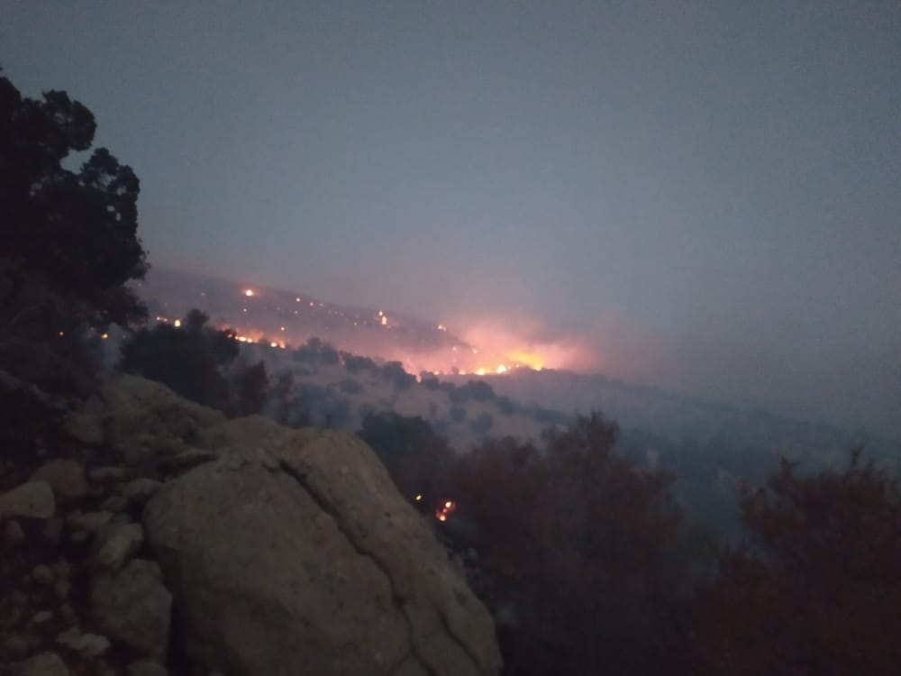 شعله های مهیب آتش بلوط های سفید کوه لنده را می سوزاند/ ناتوانی نیروهای امدادی و مردم در کنترل آتش و نیاز مبرم به بالگرد آب پاش در منطقه+ تصاویر