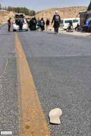 گزارش تصویری زائران پیاده امام رضا(ع) در مسیر عاشقی - عکس: فاطمه رنجبر