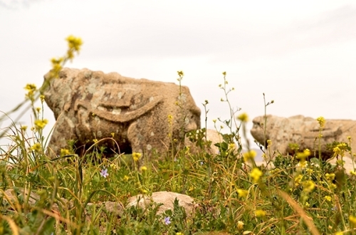 جاذبههای گردشگری و توریستی خوزستان + عکس جاذبههای گردشگری و توریستی خوزستان + عکس