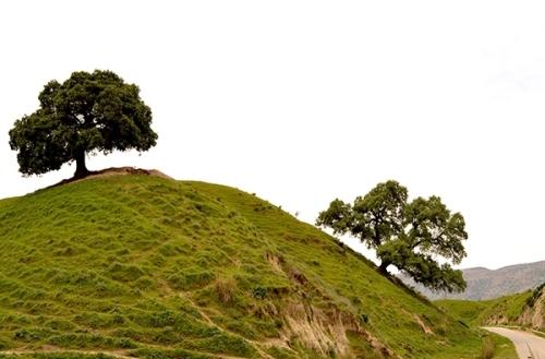 جاذبههای گردشگری و توریستی خوزستان + عکس جاذبههای گردشگری و توریستی خوزستان + عکس