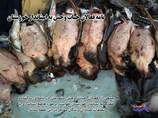 از «نامه سرگشاده به استاندار خوزستان» تا «شیوع سالک در دزفول»