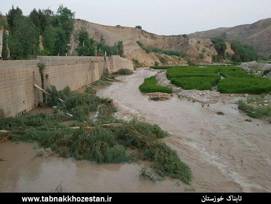 خسارت بارندگی تابستانه به کشاورزان باغملک + تصاویر