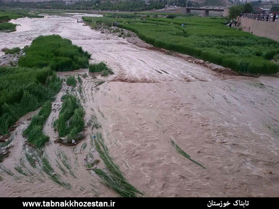 خسارت بارندگی تابستانه به کشاورزان باغملک + تصاویر