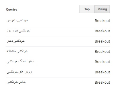 &laquo;خودکشی&raquo; در ایران از نگاه &laquo;گوگل&raquo;/ ماهیانه 22 هزار بار واژه خودکشی در ایران جستجو می شود