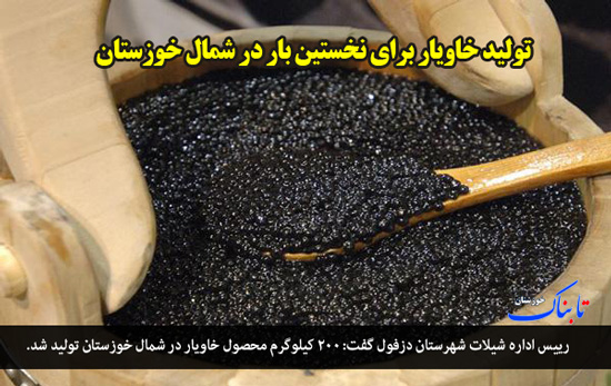 از «تخصیص آب برای فاز دوم طرح 550 هزار هکتاری» تا «نابودی 400 هزار درخت در خوزستان»