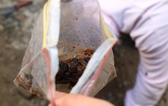 کشف بیش از ۱۲ تن انواع مواد مخدر و روانگردان در کشور کشف بیش از ۱۲ تن انواع مواد مخدر و روانگردان در کشور