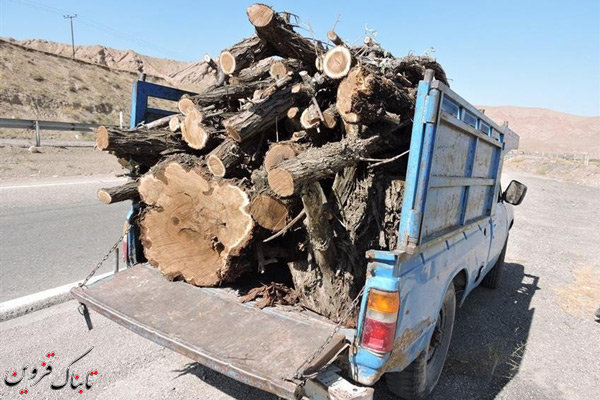 کشف و ضبط محموله غیر مجازچوب در شهرستان آوج