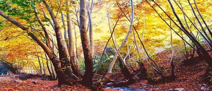 معرفی آثار تاریخی و جاذبه های گردشگری استان کهگیلویه و بویر احمد/آبشار یاسوج، آبشار کمردوغ، پیست اسکی دنا، تنگ گنجه ای معرفی آثار تاریخی و جاذبه های گردشگری استان کهگیلویه و بویر احمد/آبشار یاسوج، آبشار کمردوغ، پیست اسکی دنا، تنگ گنجه ای