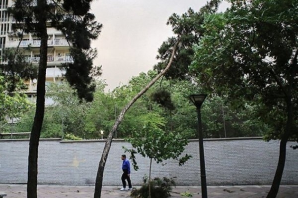 وزش باد گرم شدید در گیلان از فردا وزش باد گرم شدید در گیلان از فردا