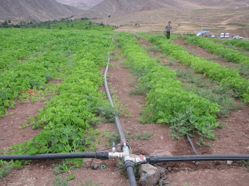 41 هزار متر لوله در روستاهای شهرستان قزوین اجرا شد