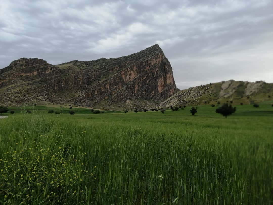 جهشی بزرگ در بخش کشاورزی شهرستان لنده در سال جهش تولید+تصاویر