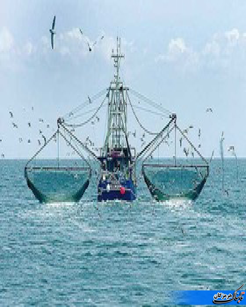 یادداشت/صيد ترال تخريب محيط زيست دريايي یادداشت/صيد ترال تخريب محيط زيست دريايي