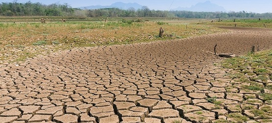 دیو خشکسالی در کمین البرز/ کاهش چشمگیر بارش باران در استان چه تبعاتی دارد؟ دیو خشکسالی در کمین البرز/ کاهش چشمگیر بارش باران در استان چه تبعاتی دارد؟