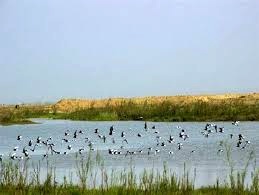 خشکی تالاب صالحیه یک مشکل ملی است/ خسارت این منشاء گرد و غبار، هزاران میلیاردی خواهد بود خشکی تالاب صالحیه یک مشکل ملی است/ خسارت این منشاء گرد و غبار، هزاران میلیاردی خواهد بود