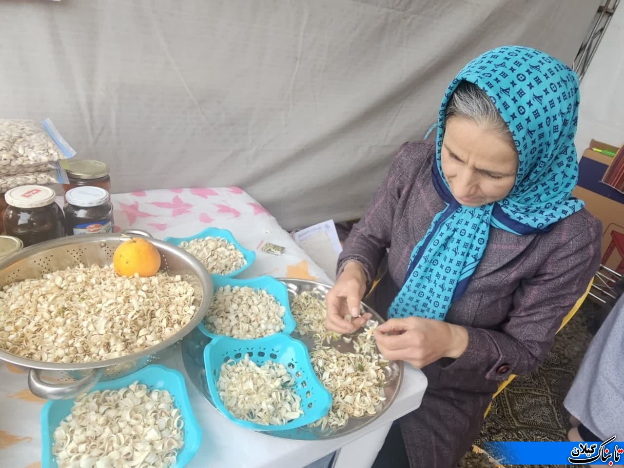 گزارش تصویری آغاز جشنواره بهار نارنج کومله