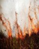 هشدار هواشناسی سمنان درباره غبارآلودگی و احتمال آتش‌سوزی در طبیعت