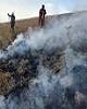 ۴۷ هکتار از مراتع استان مرکزی دچار آتش سوزی شده است