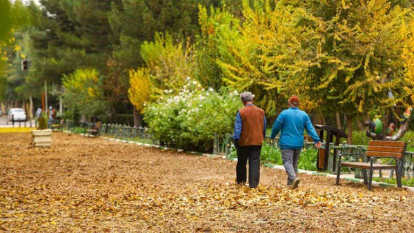 اجرای طرح «فرش خزان» در بوستانهای قم اجرای طرح «فرش خزان» در بوستانهای قم