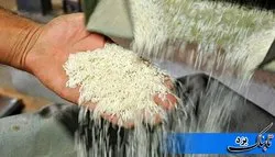 باز هم تخلف در بازار برنج/۴.۲ تن برنج تقلبی کشف شد