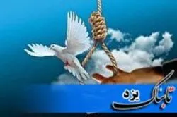 نجات قاتل از چوبه دار پس از گذشت ۵ سال